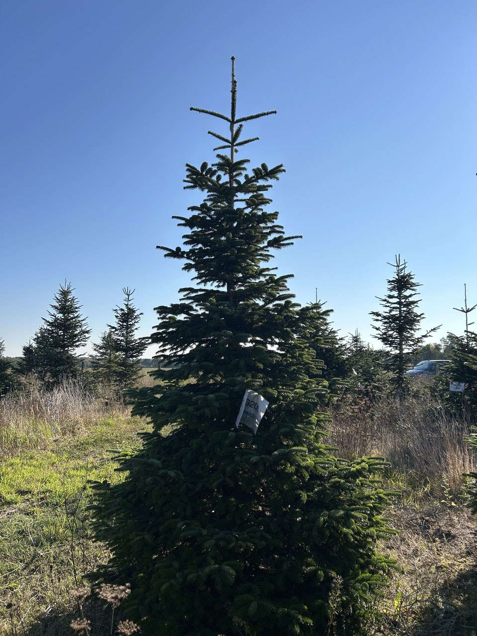 G206 image 2
