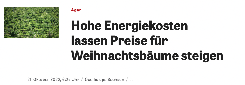 Teure Tanne? Weihnachtsbaumpreise im Harz stabil